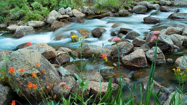 Вода из горного источника