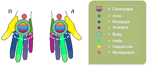 Пальцевые проекции чакр на руках